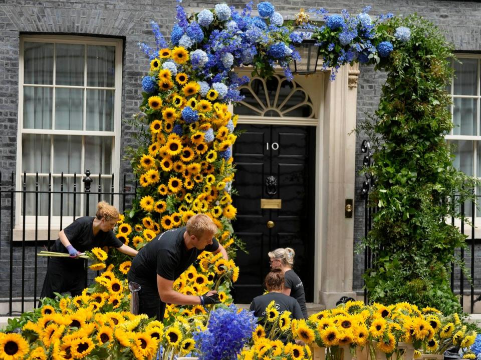23 August 2022: Florists prepare the entrance to 10 Downing Street with flowers in the Ukraine national colors in London (AP)