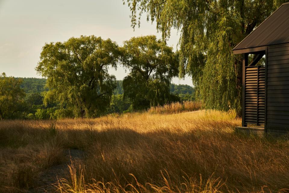 A cabin in a wild meadow.