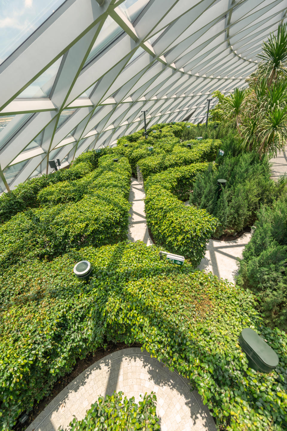 Hedge Maze at Canopy Park. (PHOTO: Jewel Changi Airport Devt)