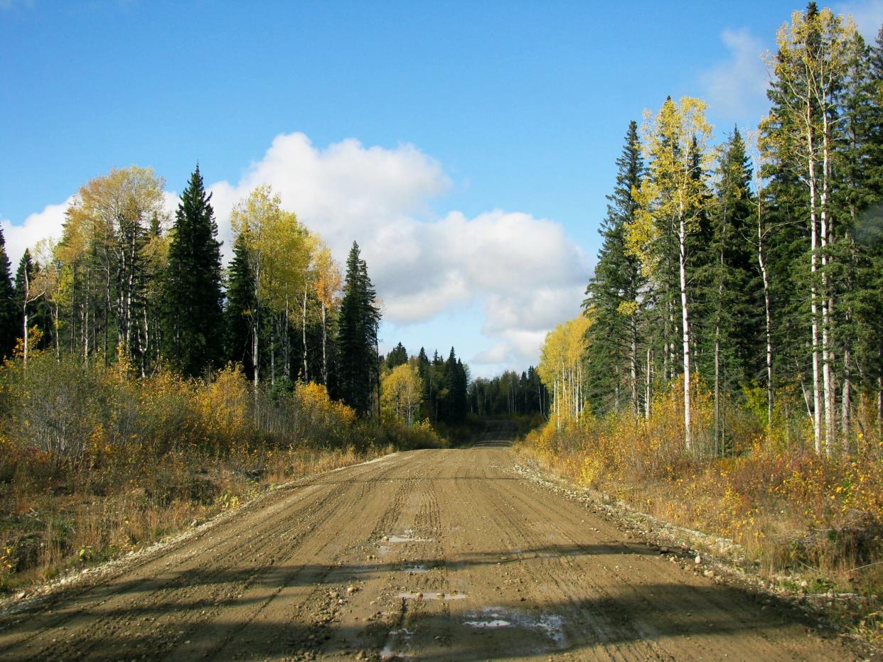 An undeveloped country road in Prince George, British Columbia, Canada.