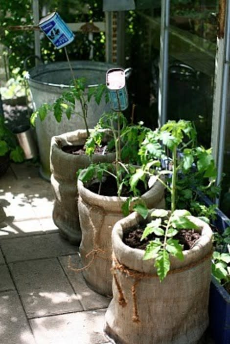 Pots and planters