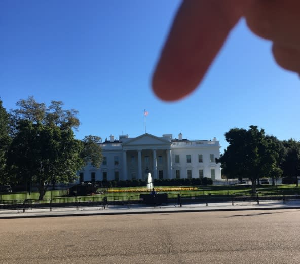 Das Weiße Haus in Washington, D.C.