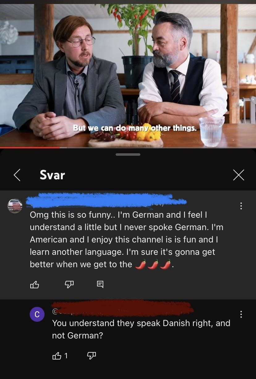 "I'm German and I feel I understand a little but I never spoke German."