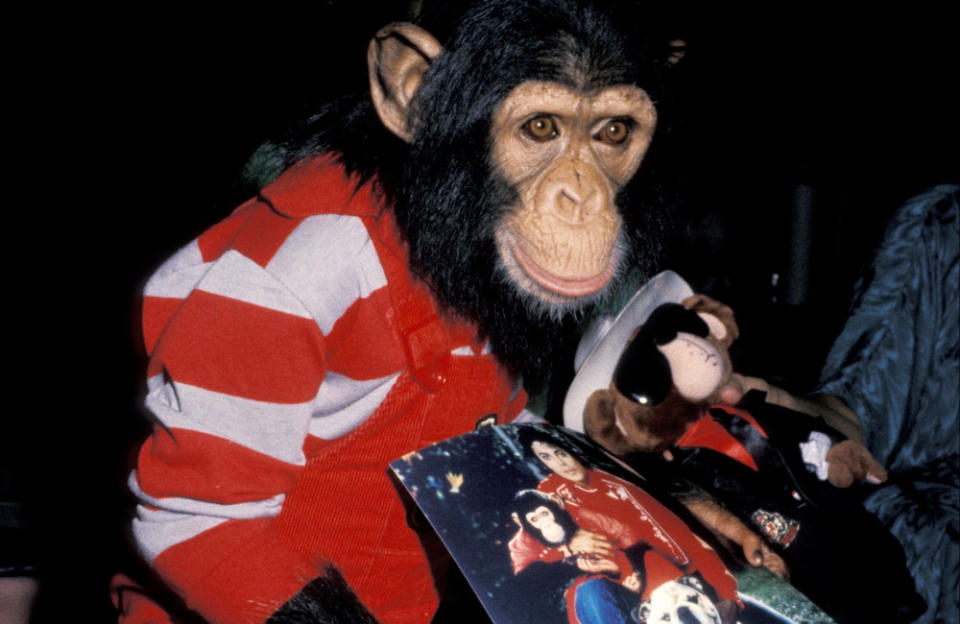 Michael’s monkey went ape in the studio