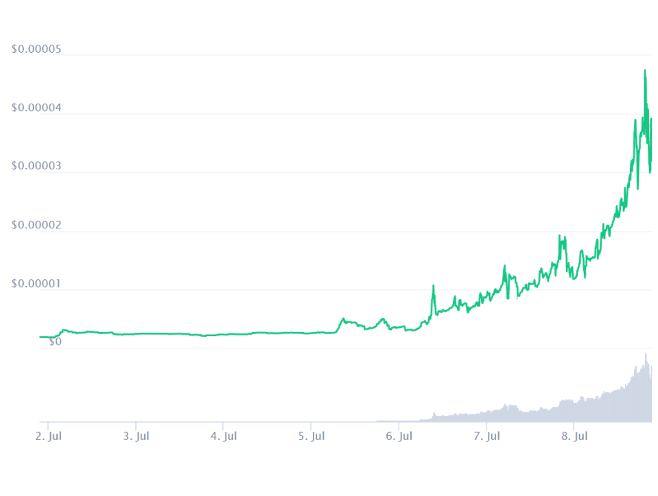 The price of Tiger King Coin rose by more than 1,500 per cent in the first week of July (CoinMarketCap)