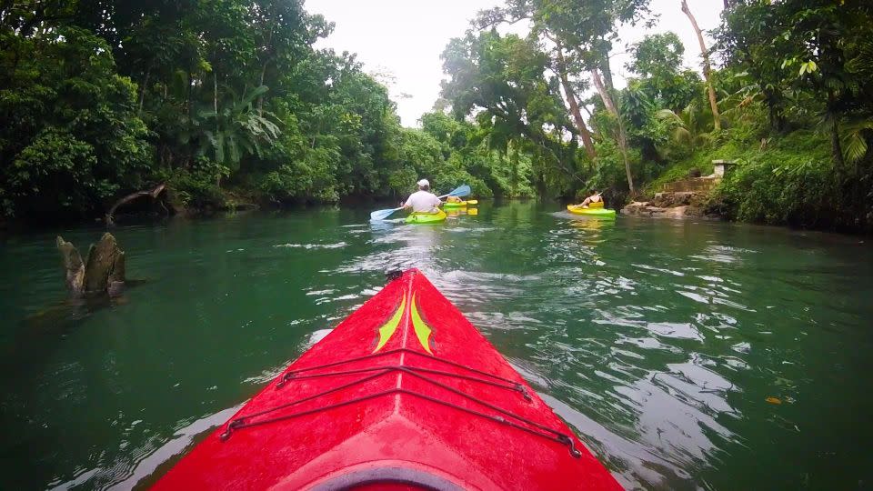 You'll feel like you're on the set of Jurassic Park kayaking down this secluded river. Photo: Supplied