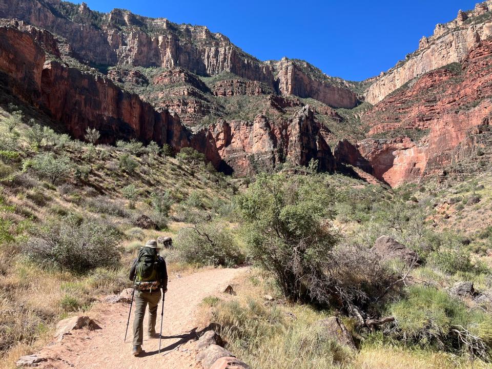 A man hiking inside the Grand Canyon using trekking poles.