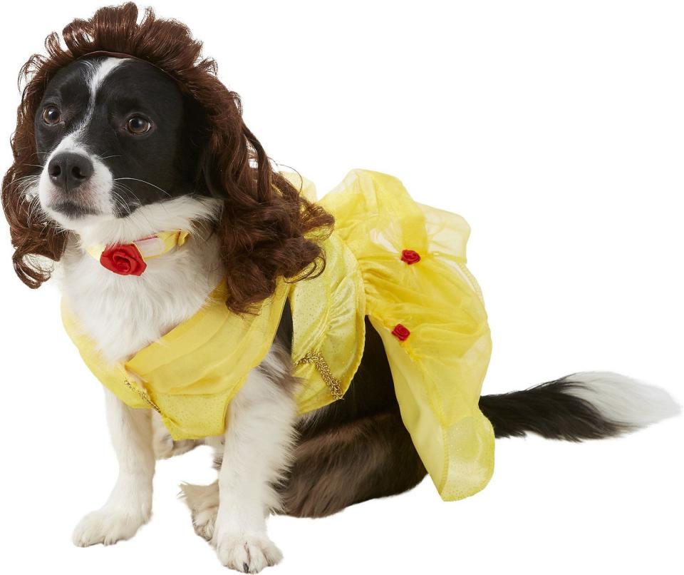Belle Disney Princess Dog Costume