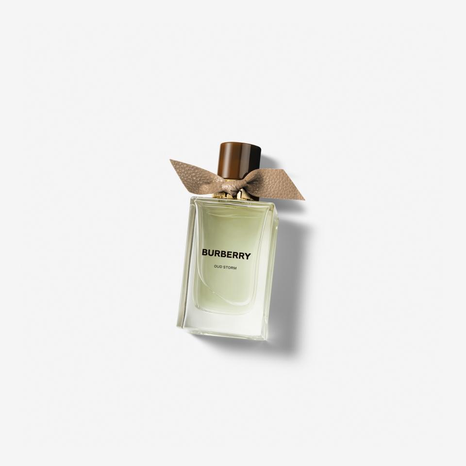 <p><a href="https://go.redirectingat.com?id=74968X1596630&url=https%3A%2F%2Fus.burberry.com%2Fburberry-signatures-extreme-botanicals-oud-storm-eau-de-parfum-100ml-p40833221&sref=https%3A%2F%2Fwww.esquire.com%2Fstyle%2Fgrooming%2Fg60298468%2Fbest-burberry-cologne%2F" rel="nofollow noopener" target="_blank" data-ylk="slk:Shop Now;elm:context_link;itc:0;sec:content-canvas" class="link ">Shop Now</a></p><p>Signatures Extreme Botanicals Oud Storm Eau de Parfum</p><p>burberry.com</p><p>$295.00</p>