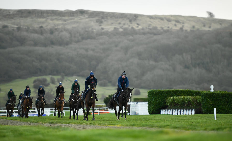 Horses work out under the shadow of Cleeve Hill ahead of the first day of the Cheltenham Festival, the showpiece event in the jumps racing calendar.