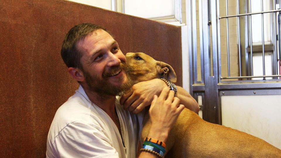 Tom Hardy gives free hugs on For the Love of Dogs