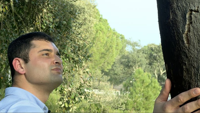 Fábio Mendes, one of the few young cork harvesters in Coruche, examines a cork oak tree.