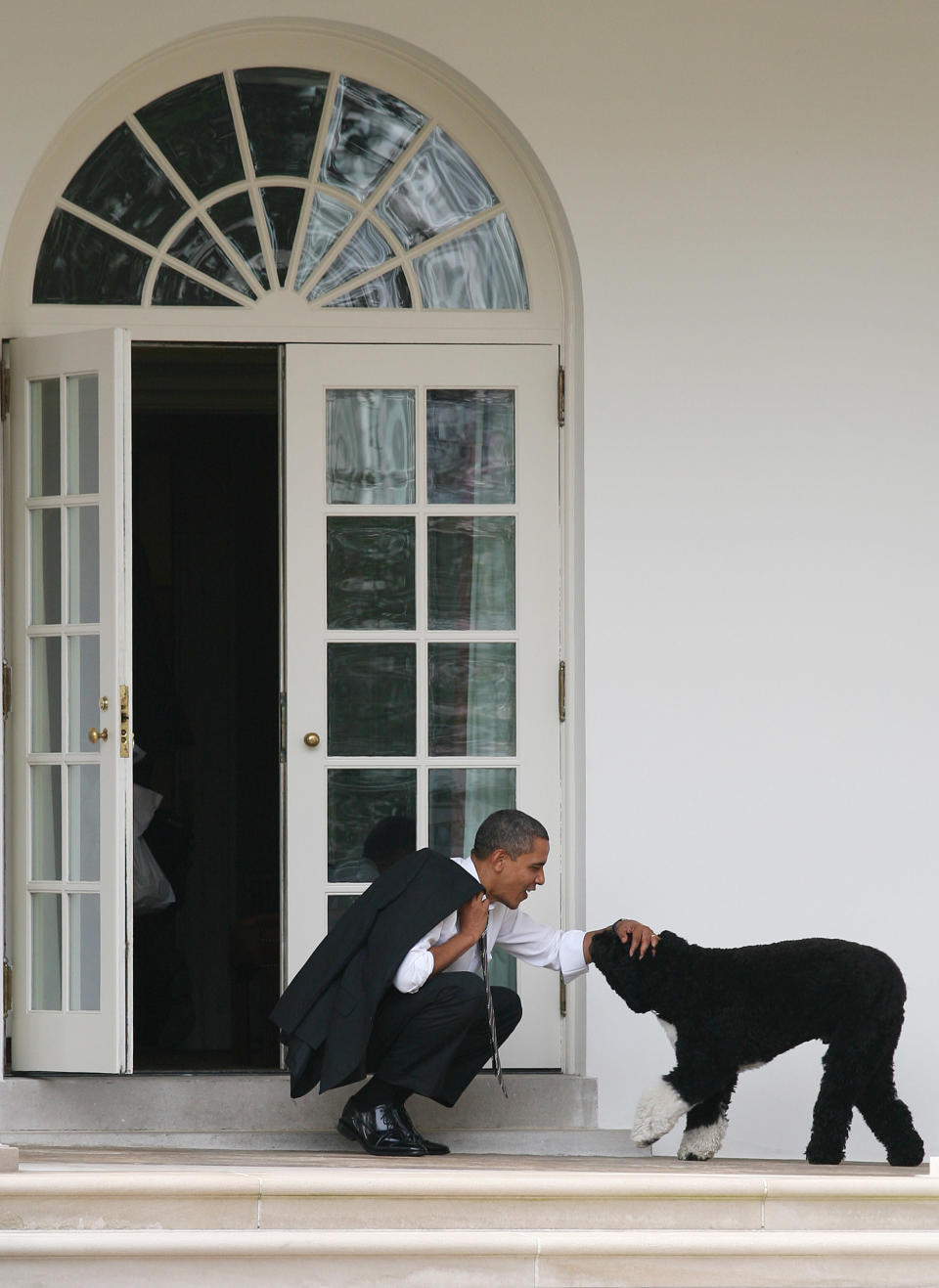 Obama pets his dog Bo outside the Oval Office of the White House on March 15, 2012, in Washington, D.C.