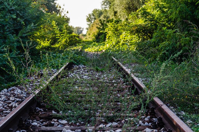 <span class="caption">Restoring disused lines can help expand railways at lower cost.</span> <span class="attribution"><a class="link " href="https://www.shutterstock.com/image-photo/abandoned-railroad-tracks-overgrown-weeds-1575558523" rel="nofollow noopener" target="_blank" data-ylk="slk:Zoran Milosavljevic/Shutterstock;elm:context_link;itc:0;sec:content-canvas">Zoran Milosavljevic/Shutterstock</a></span>
