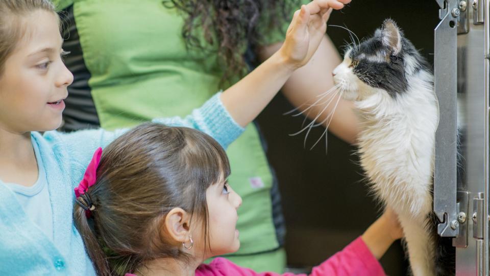 two kids pick out a cat to adopt from a shelter