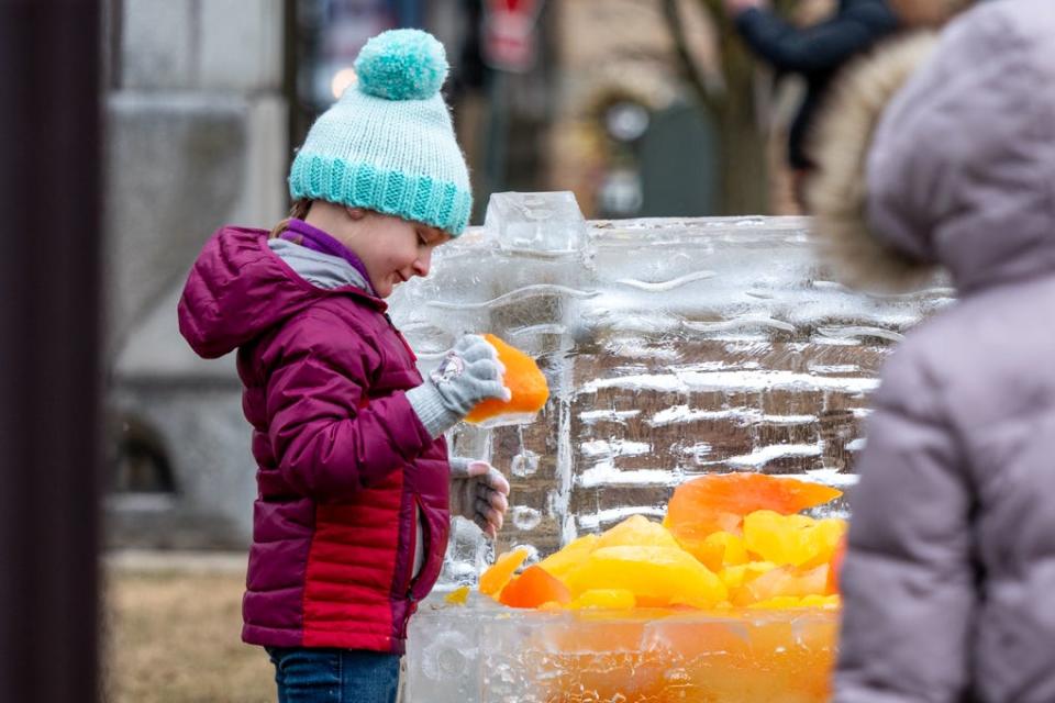 A child inspects a colored block piece of ice representing treasure as part of a Winterfest ice sculpture in Stroudsburg on Saturday, Feb. 19, 2022.