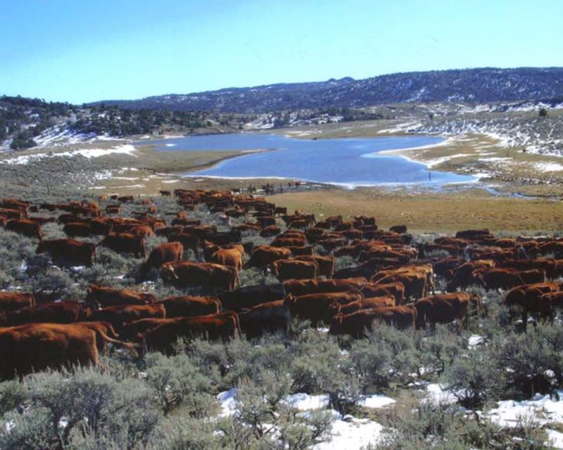 Two Creek Ranch, Wyoming