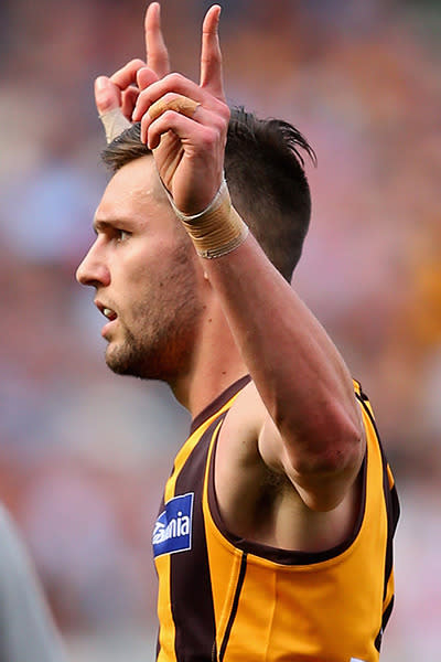 <p>Jack Gunston celebrates another Hawthorn goal.</p>