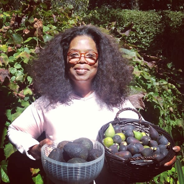 oprah-winfrey-avocdo