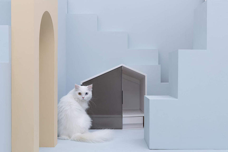 Try a Modern Cat House