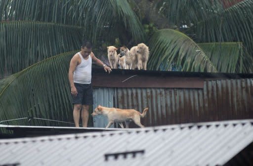 A resident gathers his pet dogs on the roof of his flooded house in suburban Manila