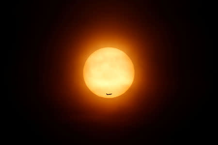 FILE PHOTO: A passenger jet flies past the setting sun in Shanghai March 11, 2014. REUTERS/Aly Song/File Photo
