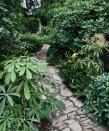 <p> A natural stone path weaving through architectural foliage will bring a tropical garden vibe to any plot. </p> <p> The mosaic effect of this stone pathway adds a textural contrast against surrounding ferns, rhododendrons and Himalayan pines. What's more, the walkways criss-cross one another which encourages guests to really explore. </p> <p> Positioning a summer house or even a humble garden shed at the end of the path will up the sense of intrigue further, especially if glimpses of its structure can be spotted through the greenery. </p>