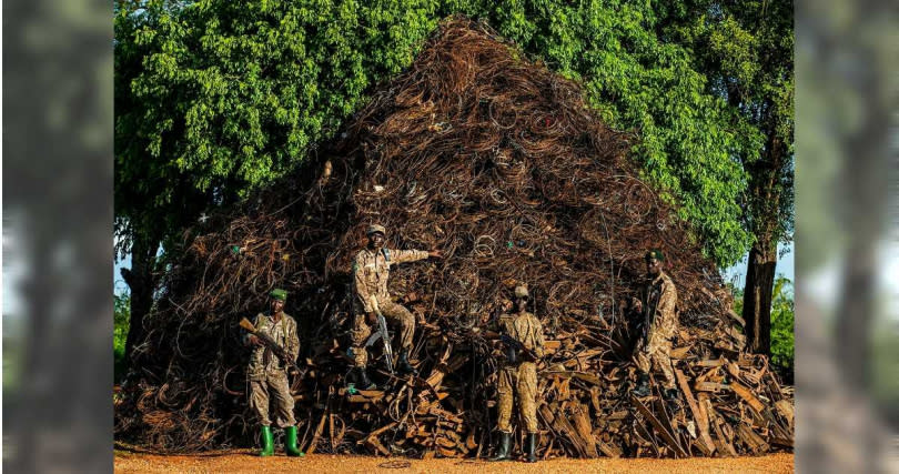 1萬2千公斤的捕獸夾與狩獵陷阱堆積而成的「捕獸夾山」，正是烏干達保育基金會的成員，12個月以來在園區努力收集的成果。（圖／翻攝自推特／@UgandaCF）