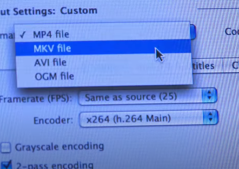 Screenshot of computer screen with files type being selected