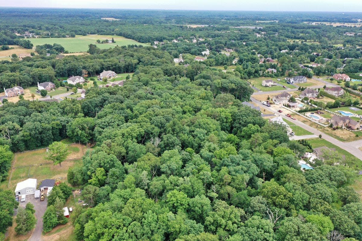 These 20 acres of forest in Howell in have been protected from development by deal between the Navy, Monmouth County and the Monmouth Conservation Foundation.