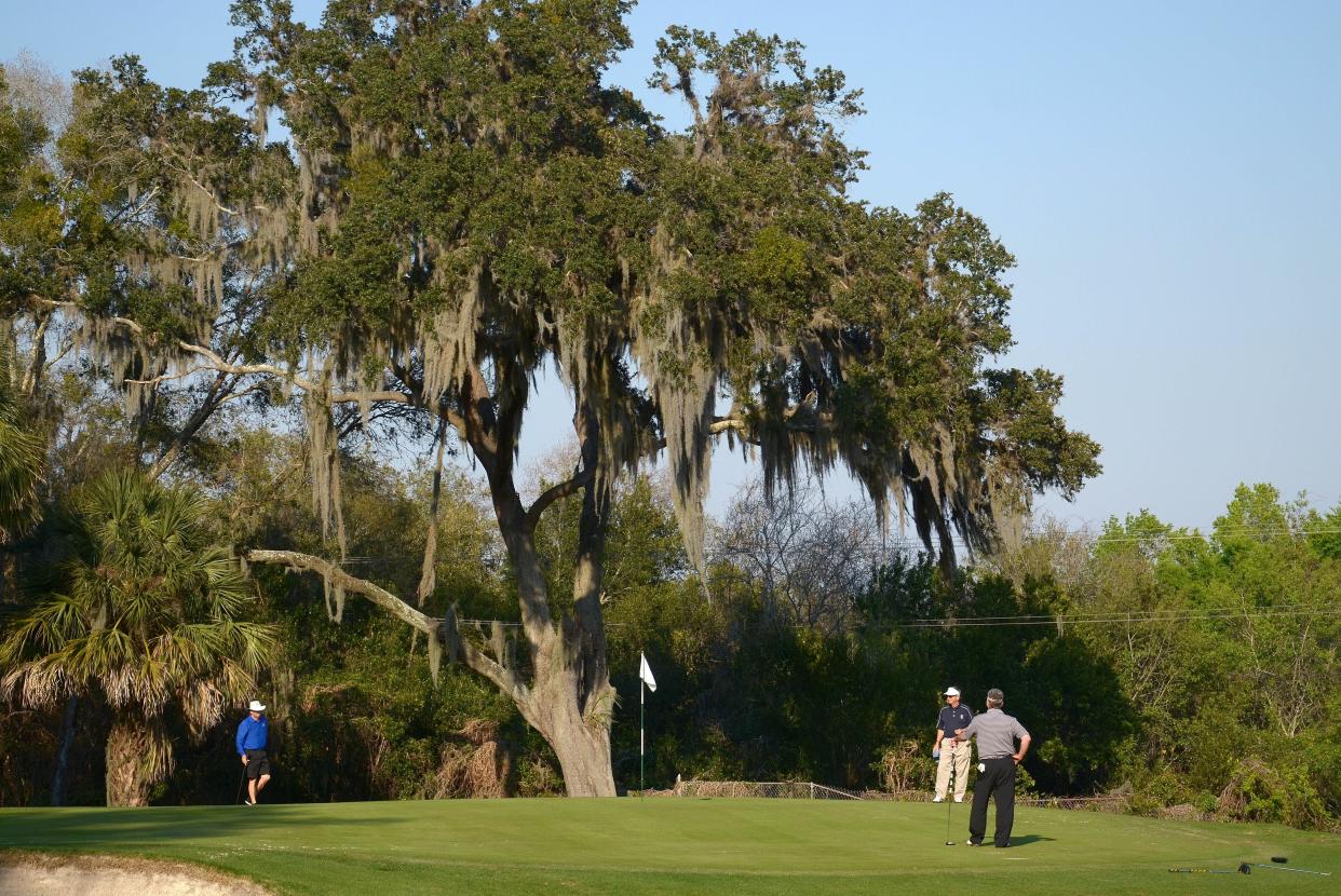 The Palatka Golf Club, designed by World Golf Hall of Fame member Donald Ross, features small, "turtle-shell" greens under majestic Florida oaks and Spanish Moss.