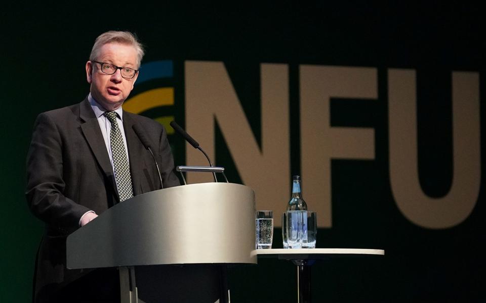 Michael Gove, the Environment secreatary - Getty Images Europe