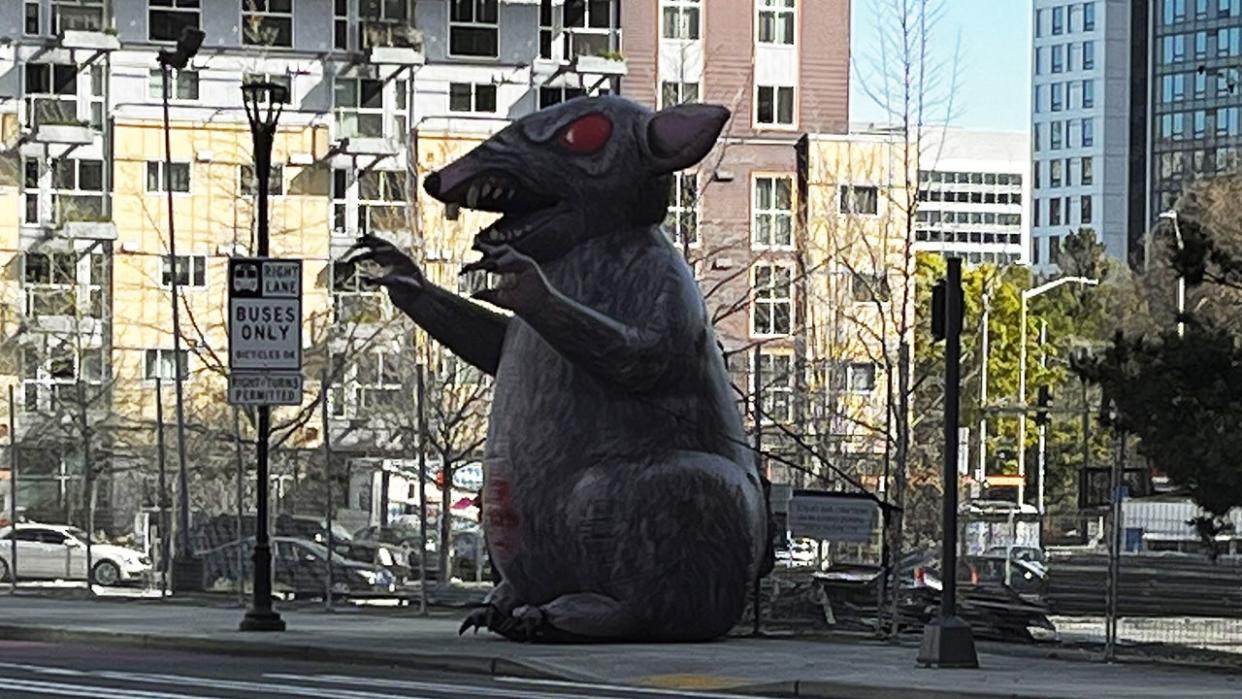 <div>Scabby the Rat</div> <strong>((File / FOX 13))</strong>