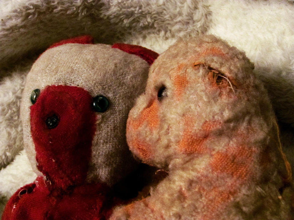 Frightened by the howling wind outside, little dog and red+white ted have a cuddle