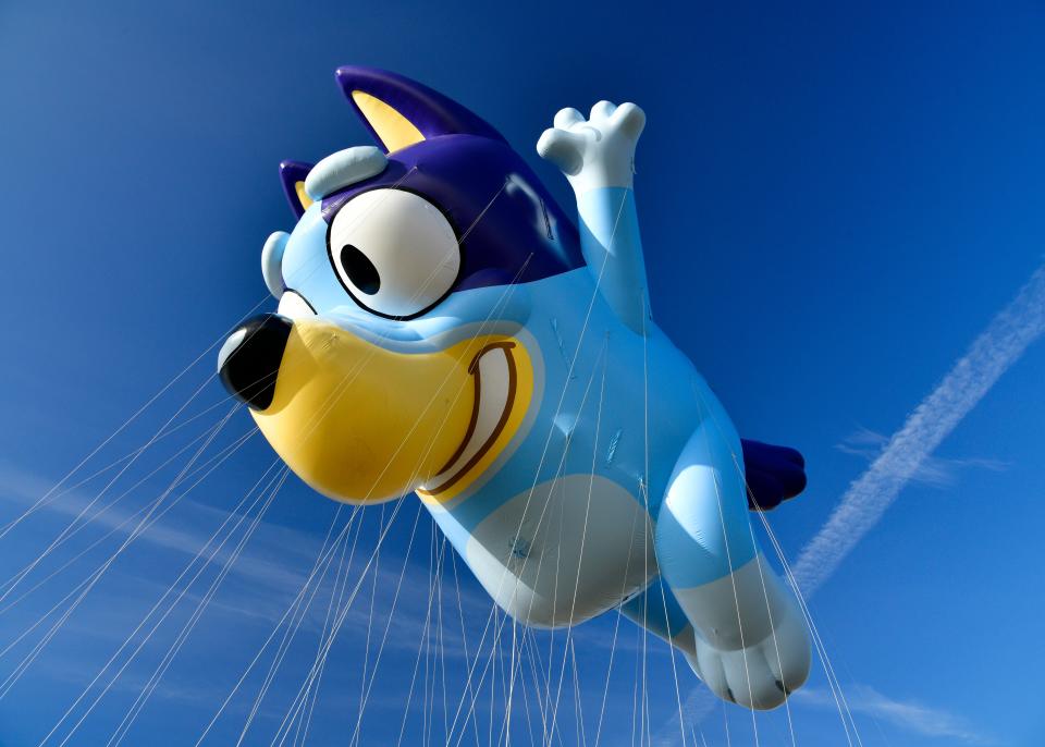 Bluey balloon by BBC Studios is taking a test flight during 96th Macy's Thanksgiving Day Parade - Balloonfest at MetLife Stadium on November 5, 2022 in East Rutherford, New Jersey.