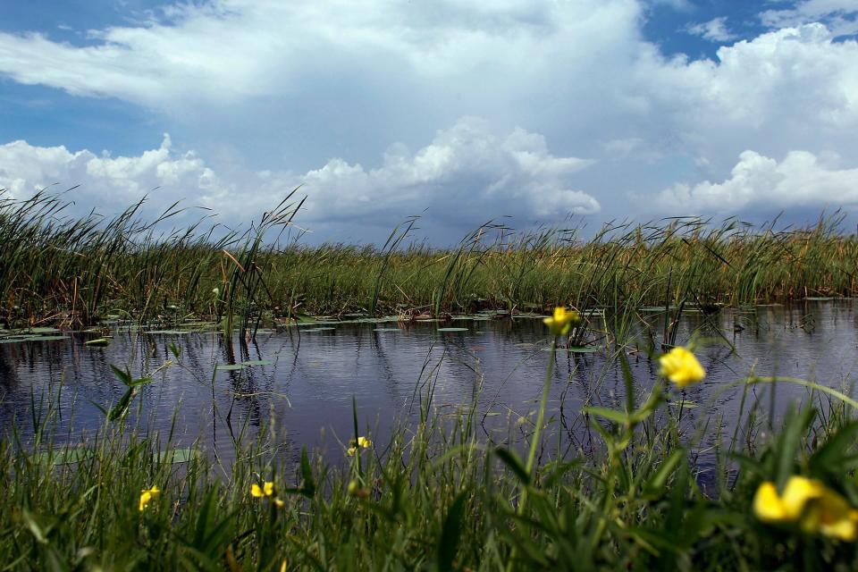 Rain clouds over Everglades National Park.