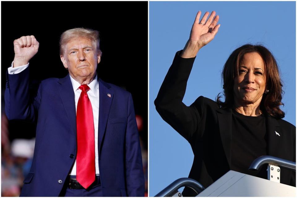 Donald Trump and Kamala Harris are neck-and-neck in two states key to Democratic victories (Getty)