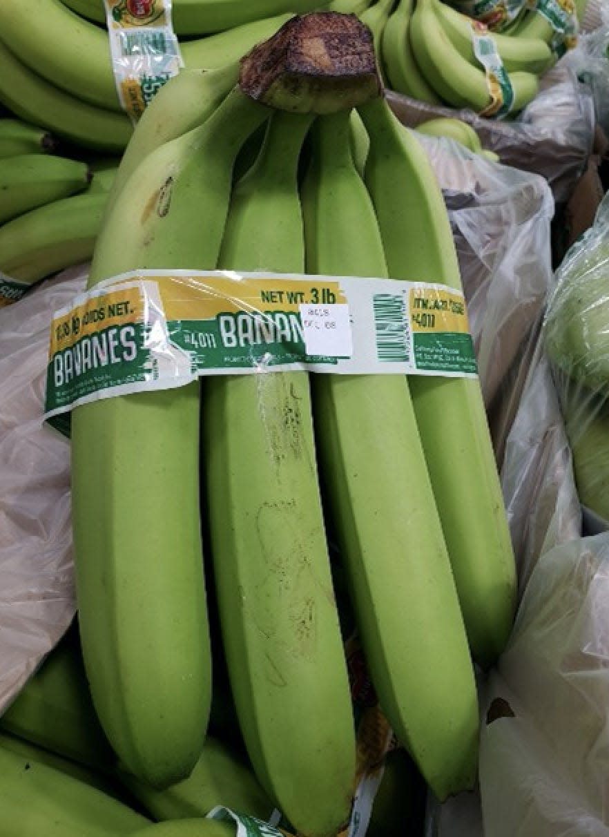 Bunch of green bananas at Costco