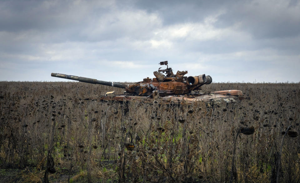 A Russian tank damaged in recent fighting is seen in the field of unharvested sunflowers near the recently retaken village of Kamianka, Kharkiv region, Ukraine, Sunday, Oct. 30, 2022. (AP Photo/Efrem Lukatsky)