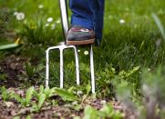 <body> <p>Pull every weed you can see now. <a rel="nofollow noopener" href=" http://www.bobvila.com/slideshow/keep-don-t-kill-9-weeds-to-welcome-48926?bv=yahoo" target="_blank" data-ylk="slk:Anything overlooked;elm:context_link;itc:0;sec:content-canvas" class="link ">Anything overlooked</a> will go to seed, leaving you with hundreds of pesky weeds to deal with next year. Weeds can also provide safe harbor for insects and plant diseases over the winter, so completely clean out the landscaping beds before hanging up your garden tools.</p> <p><strong>Related: <a rel="nofollow noopener" href=" http://www.bobvila.com/slideshow/7-weirdly-effective-ways-to-weed-49088?bv=yahoo" target="_blank" data-ylk="slk:7 Weirdly Effective Ways to Weed;elm:context_link;itc:0;sec:content-canvas" class="link ">7 Weirdly Effective Ways to Weed</a> </strong> </p> </body>