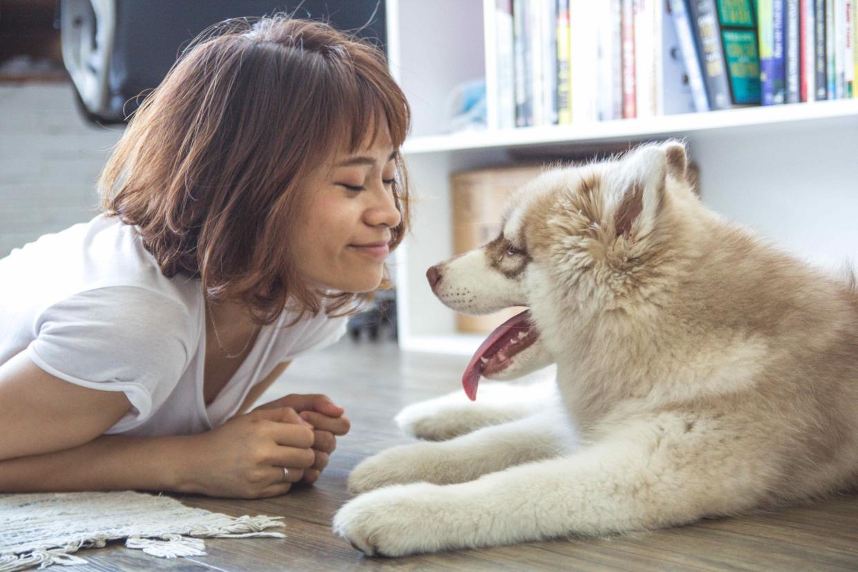 Who doesn't love talking to their pet? [Photo: Pexels]