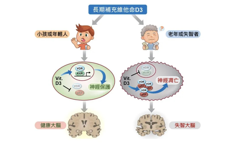 截圖 2022 08 29 上午10.34.20