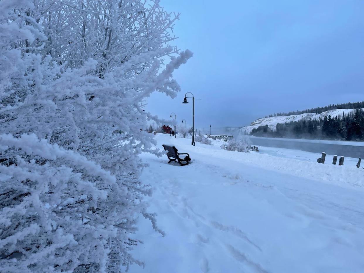 A snowy day in Whitehorse. The city has announced several new ice-and-snow control measures in a bid to improve accessibility.  (Sissi De Flaviis/CBC - image credit)