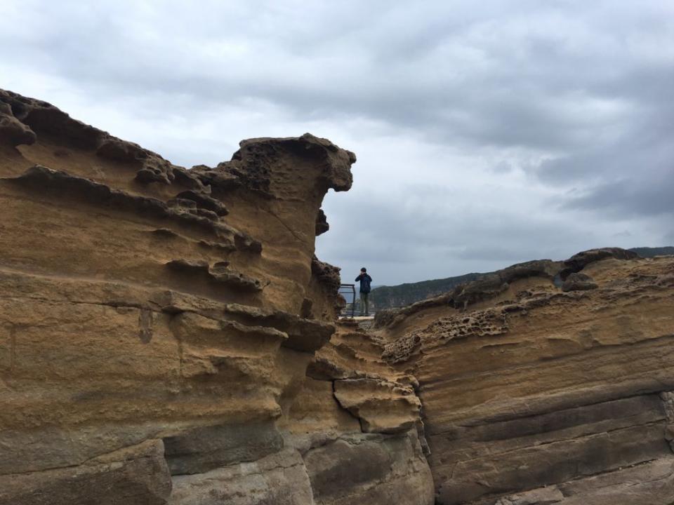 野柳地質公園可觀賞到各式海蝕奇岩。 （中華旅行社提供）