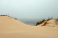 <p>Indiana Dunes is one of the newest National Parks in the system, with its large sandy bluffs along the coast of Lake Michigan. </p>