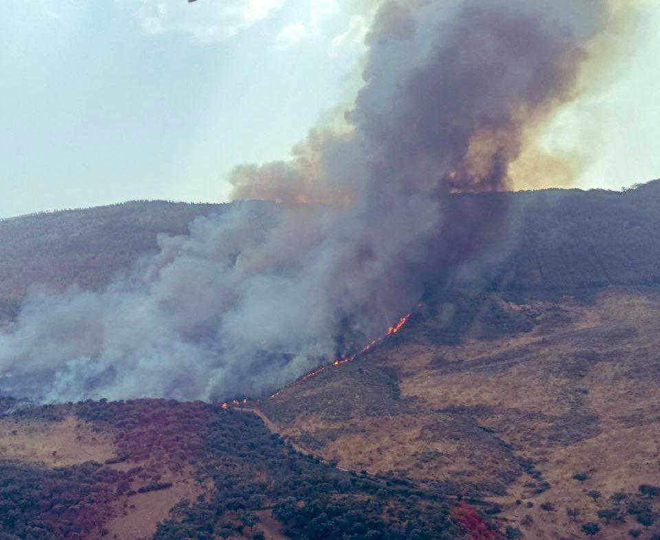 Fire in Monfragüe National Park in the province of Cáceres (Spain) Francisco Castañares, Author provided