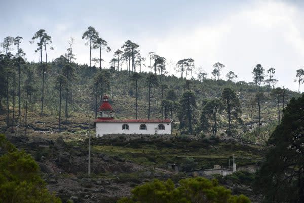 El Bosque de Agua no sólo se llena de valores ambientales, de acuerdo con Víctor Ávila, sino también los sociales y culturales. (Foto: cortesía Víctor Ávila Akerberg)