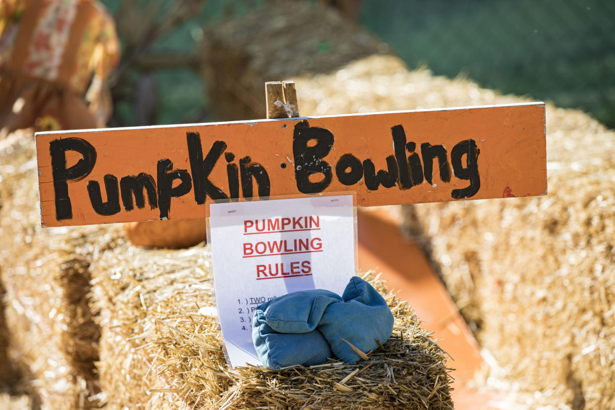 Mr. Jack O'Lantern's Pumpkin Patch in La Jolla, Calif. (Daniel Knighton/Getty Images)