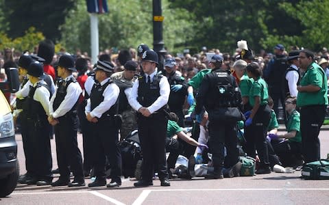 Trooping the Colour - Lord Guthrie fall - Credit: PA Wire