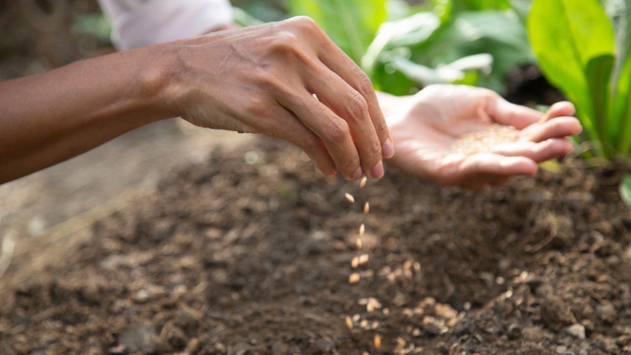 Gardening kits will give locals a chance to grow their own food, even in Sault Ste. Marie weather.